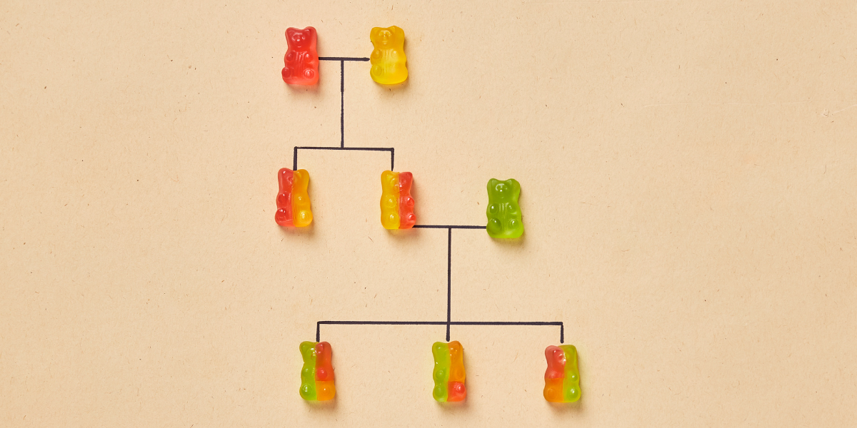 Best Gummies in UK: 30 Top Energy, Sleep & Immunity Gummy Bears